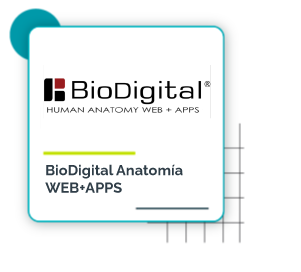 BioDigital Anatomia umet