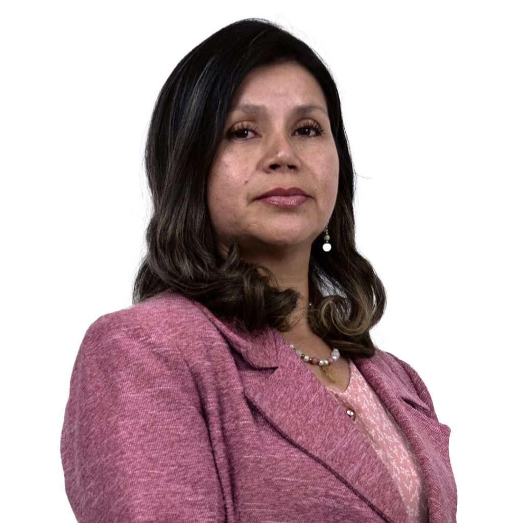 silvia llumiquinga umet